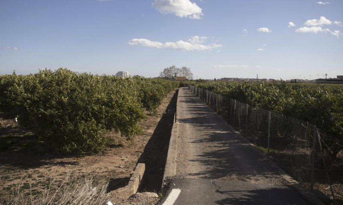 Campos de Sagunt