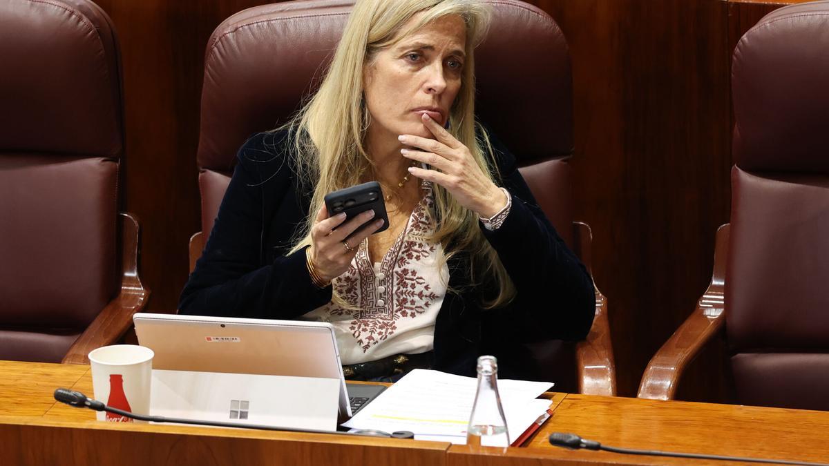 La consejera de Economía, Hacienda y Empleo de la Comunidad de Madrid, Rocío Albert.