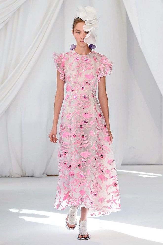 Delpozo