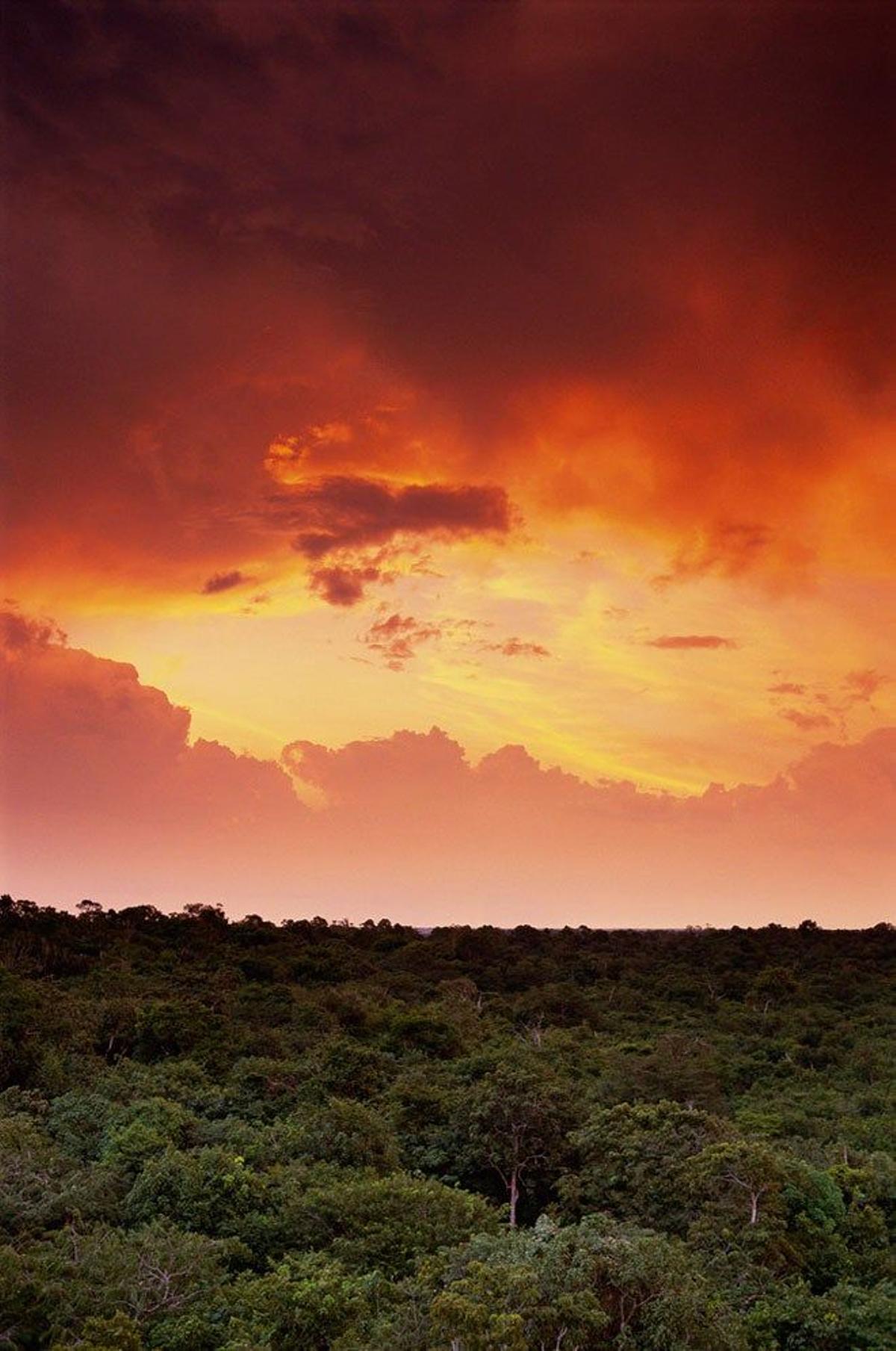 Cuenca del Amazonas en Manaos, Brasil.