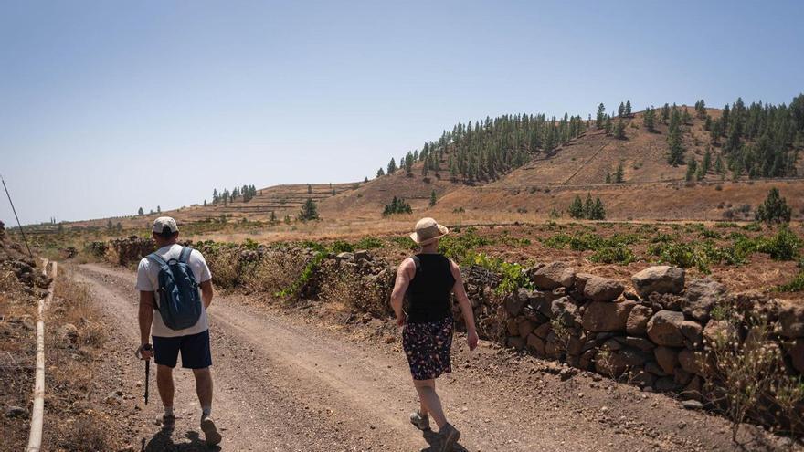 Tenerife Vaciada: Trevejos, Vilaflor
