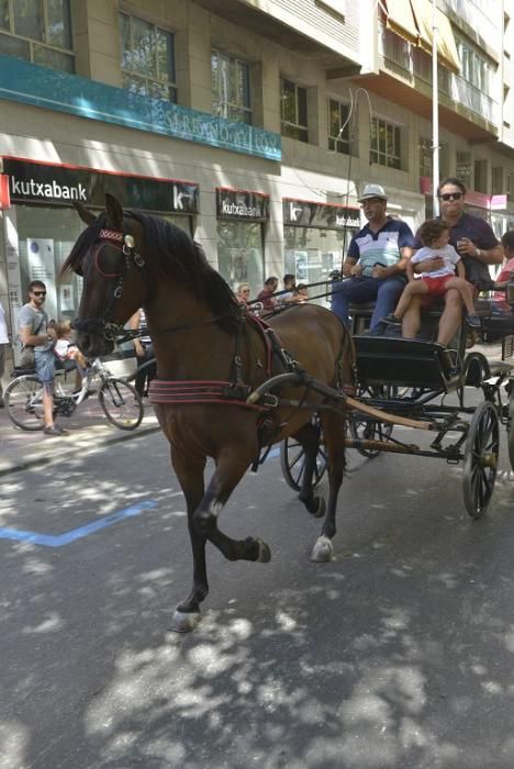 Día del caballo en la Feria de Murcia