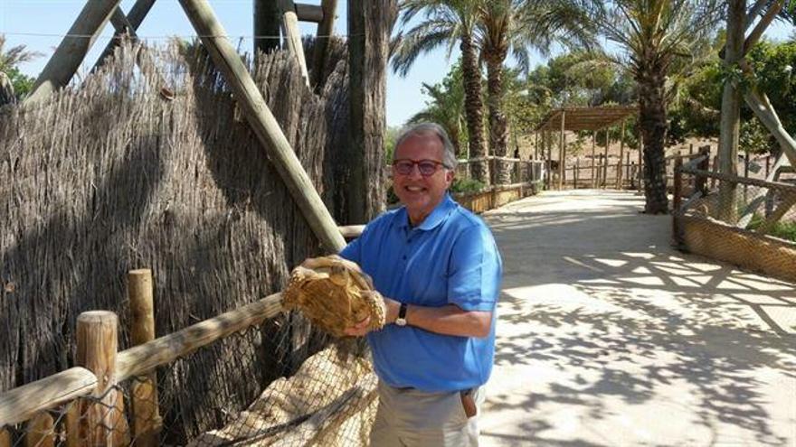 Fuensantica, una tortuga perdida de 5 kilos, ya está en Terra Natura