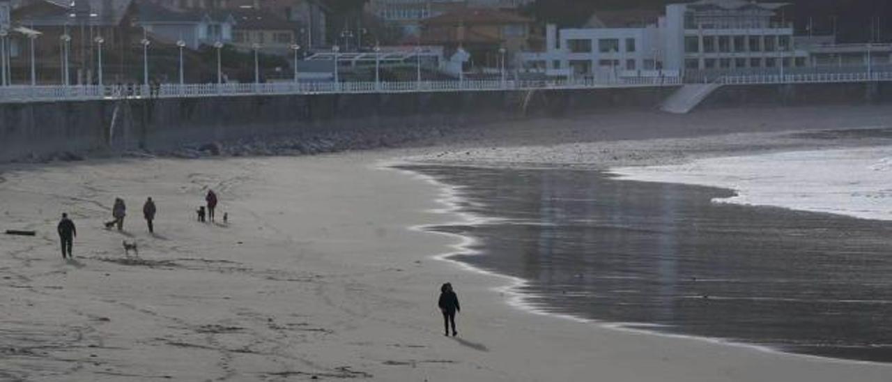 Perros paseando por la playa de Salinas.
