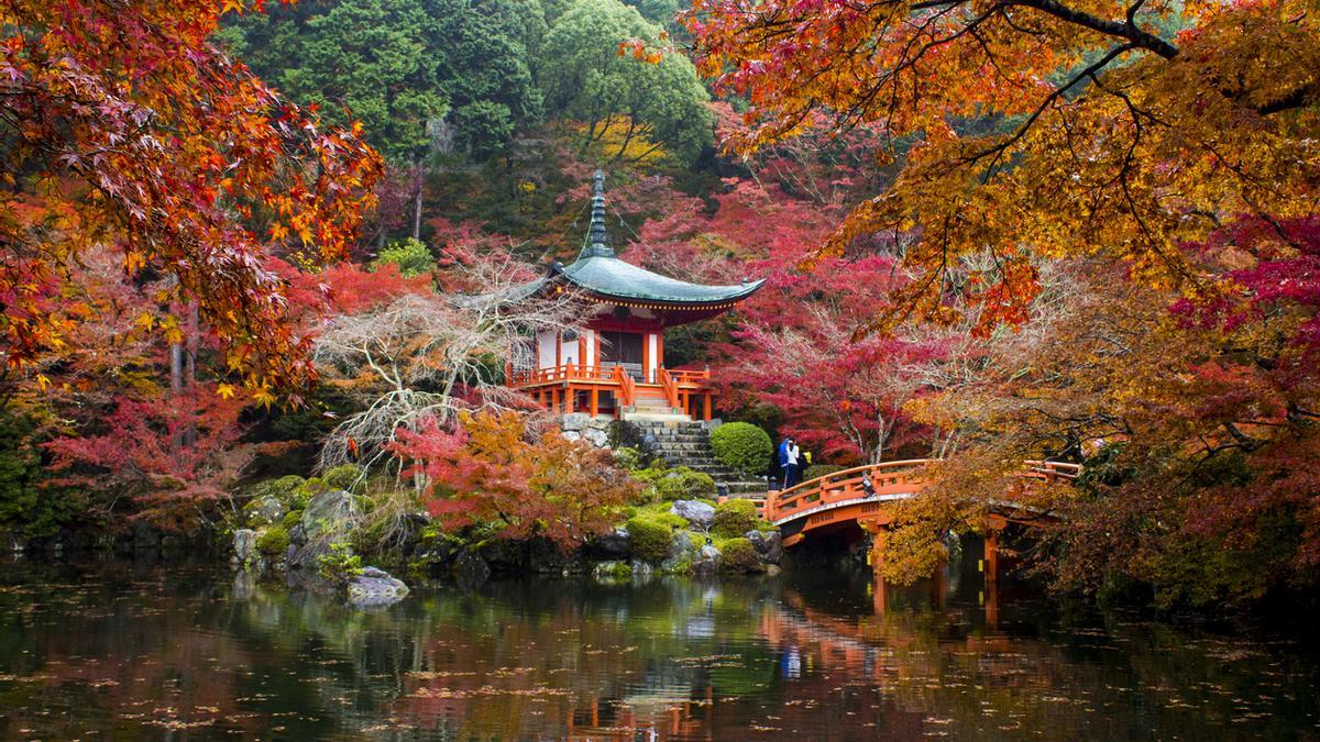 Guía para contemplar los colores del otoño japonés