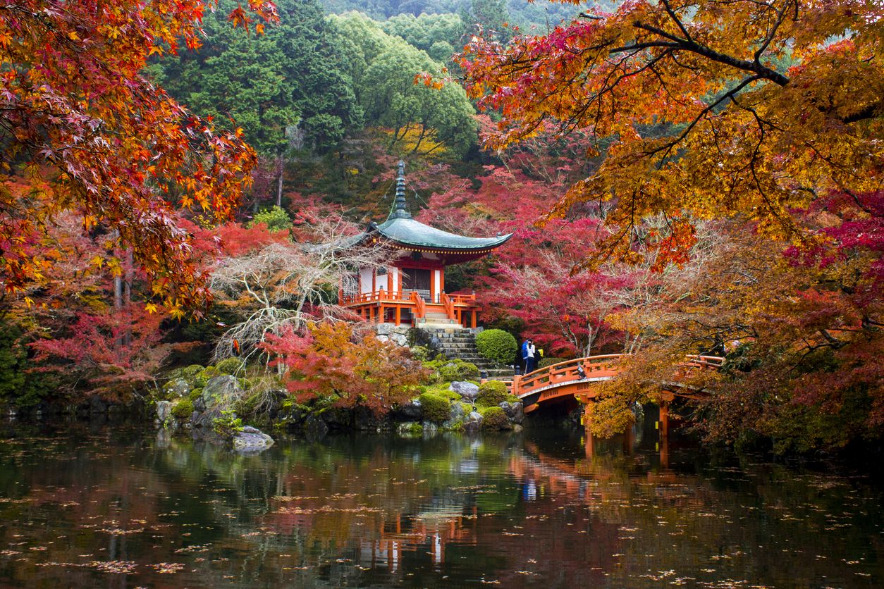 El otoño en Japón dura tres semanas, y va moviéndose de unos lugares a otros hasta acabar en Okinawa