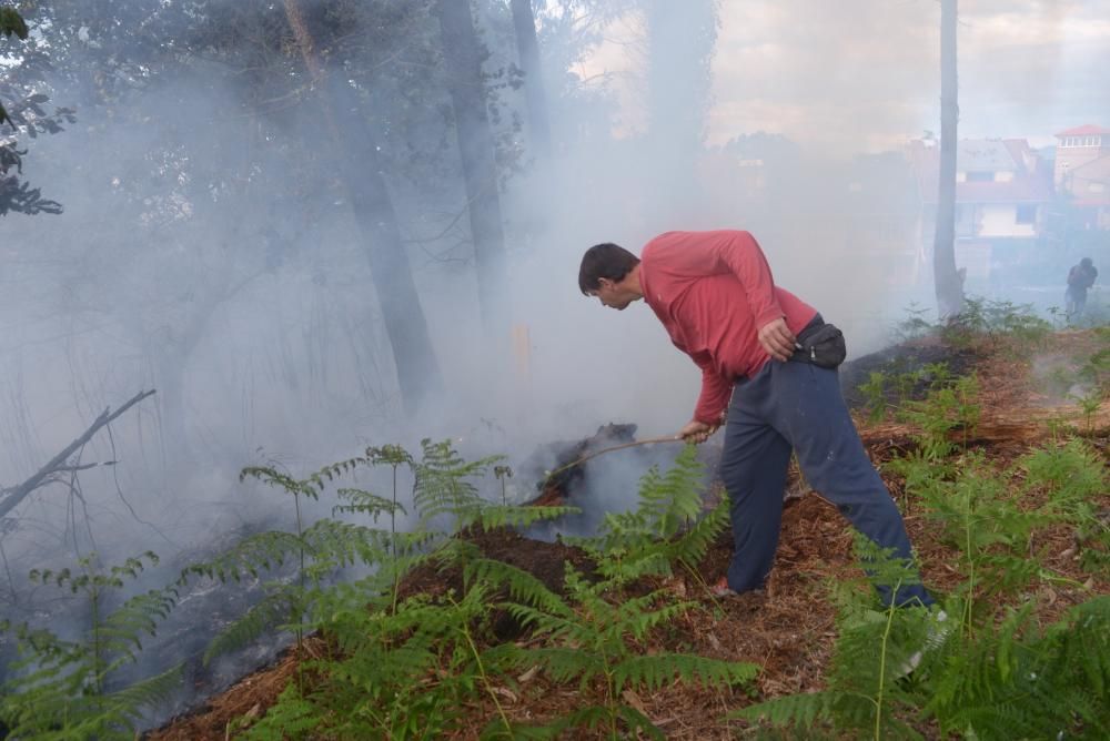 Incendio forestal en A Illa