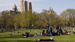 Esta ciudad de Castellón proyecta su propio 'Central Park'