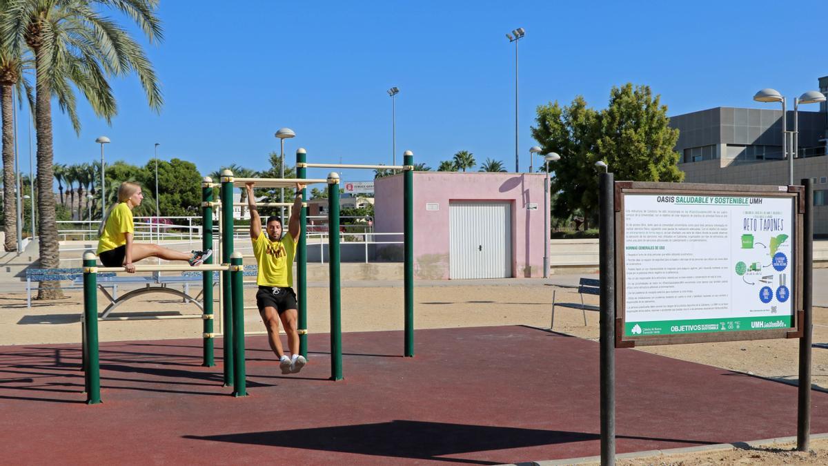 Uno de los oasis de la UMH, instalado en el campus de Elche