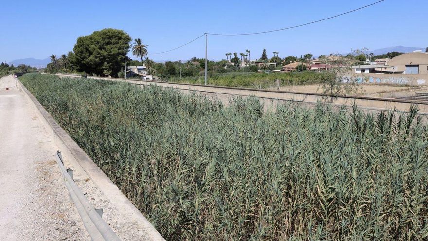 El Ayuntamiento de Murcia exporta el modelo Murcia Río al cauce del Reguerón