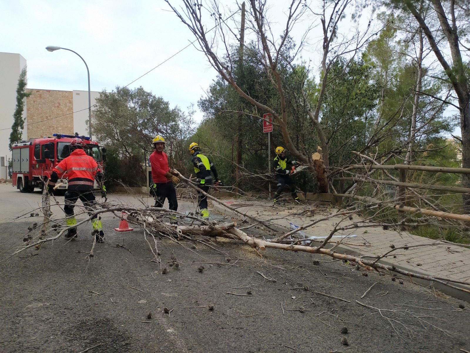 El temporal de viento provoca un centenar de incidentes en Baleares