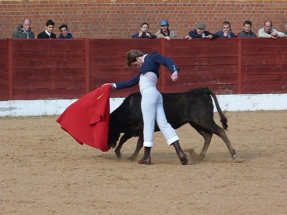 Bolsín Taurino de Fuentesaúco