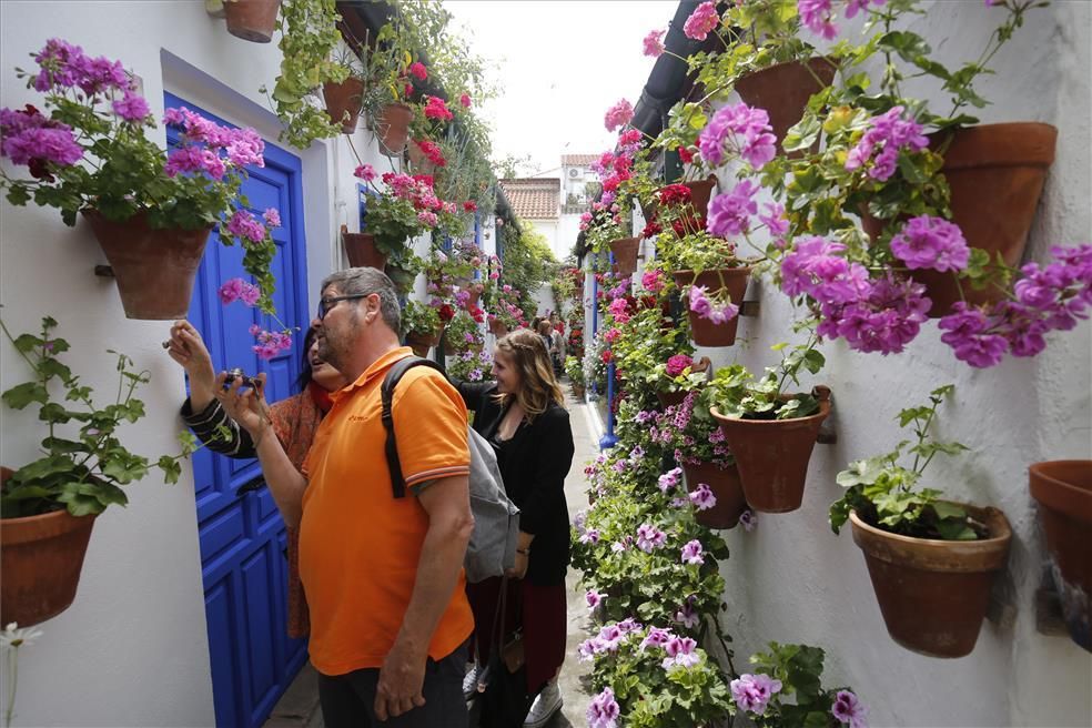 Mención de Honor y primeros premios del Concurso Municipal de Patios 2018