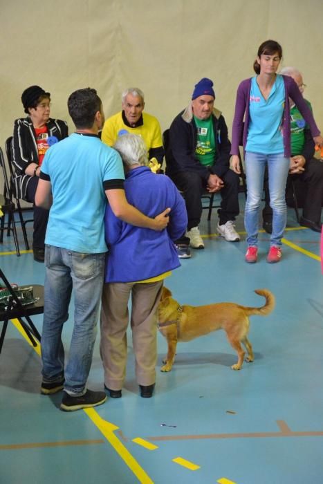 OLIMPIADA DEL ABUELO CANARIO