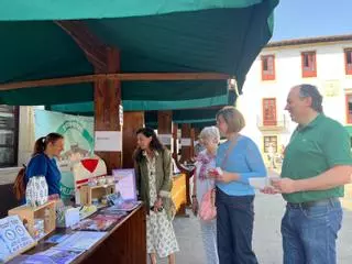 EN IMÁGENES: Así fue la Feria de Asociaciones de Villaviciosa