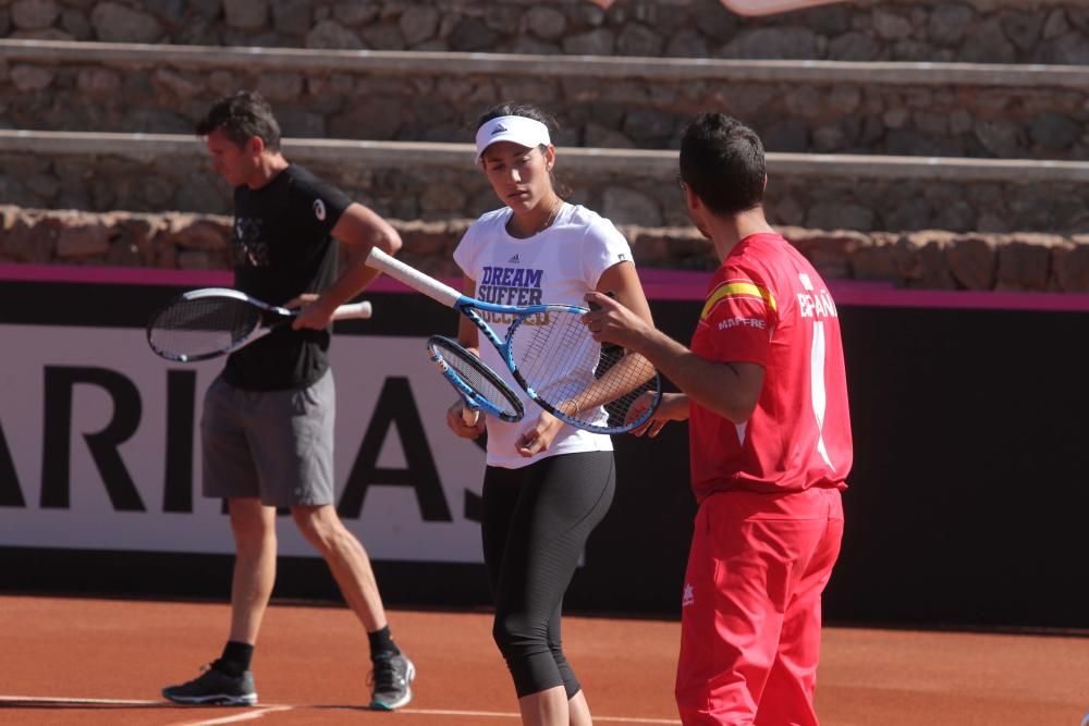 Primer entrenamiento