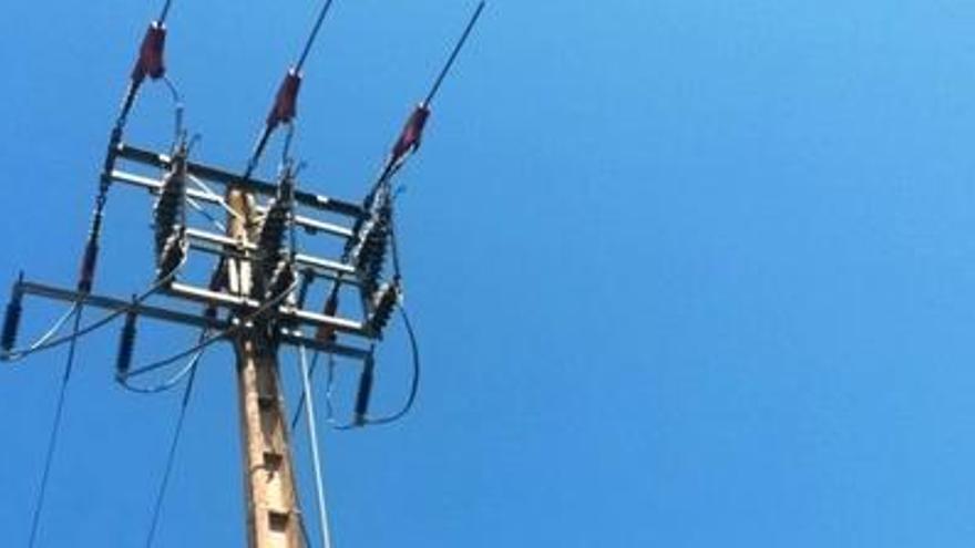 Instal·len proteccions a dues línies de Sarrià i Maçanet per evitar que les aus s&#039;electrocutin