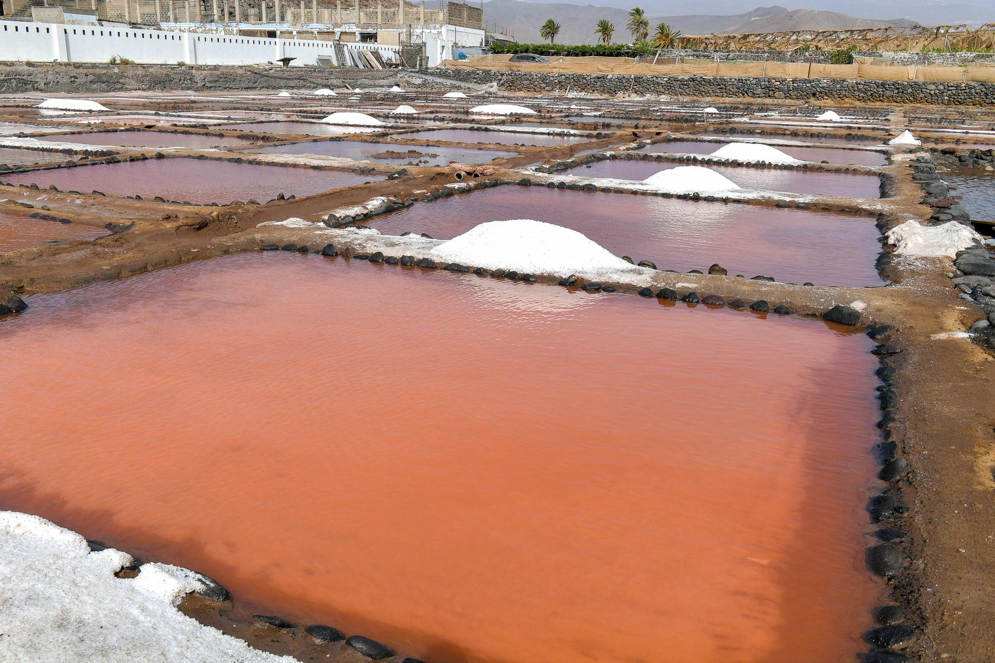 Salinas de Vargas