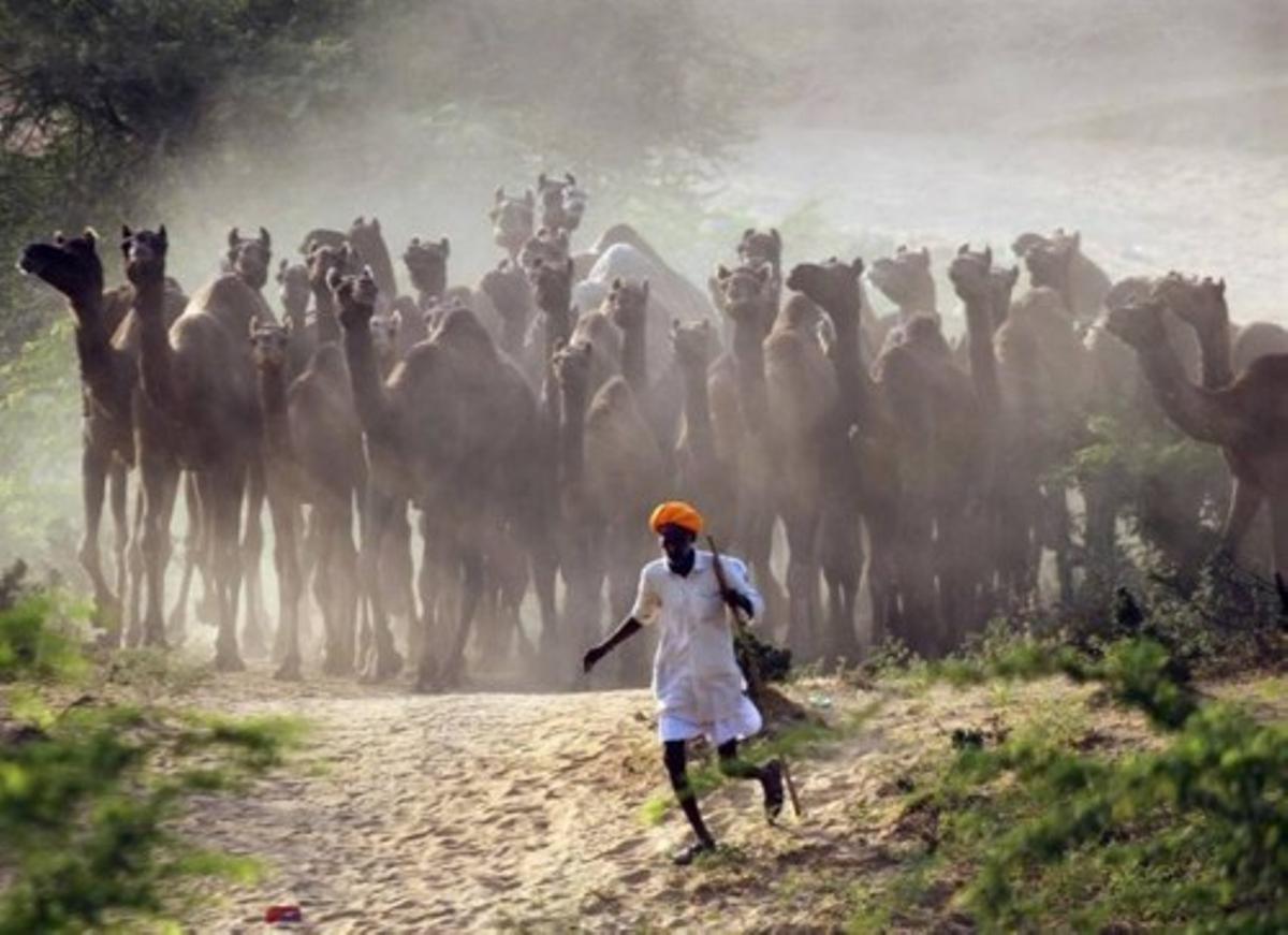 Las fotos más populares de la agencia Reuters en Instagram de 2014
