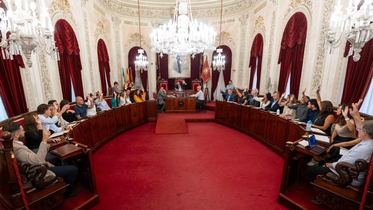 Imagen del pleno de Cádiz.