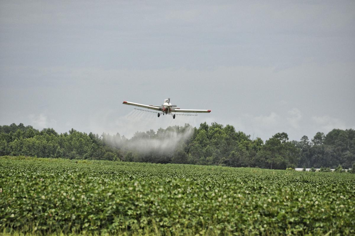 Fumigaciónde un campo de cultivo desde una avioneta.