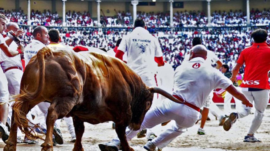 Un mozo cae ante un toro de la ganadería extremeña de Jandilla en el acceso a la plaza de toros de Pamplona durante el último encierro de los Sanfermines 2010.