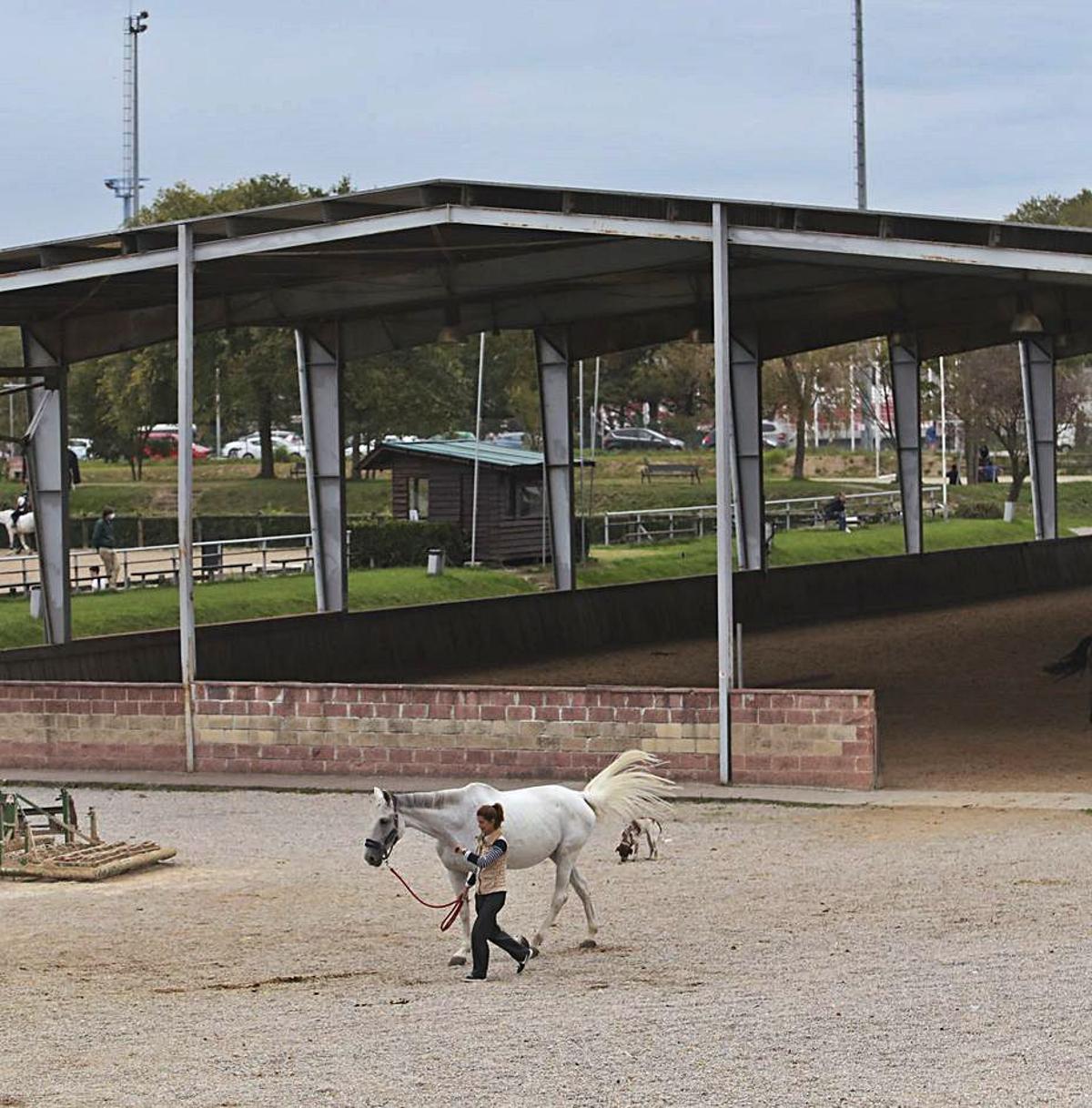 Una amazona y su caballo, en el Club Hípico Astur. | Marcos León