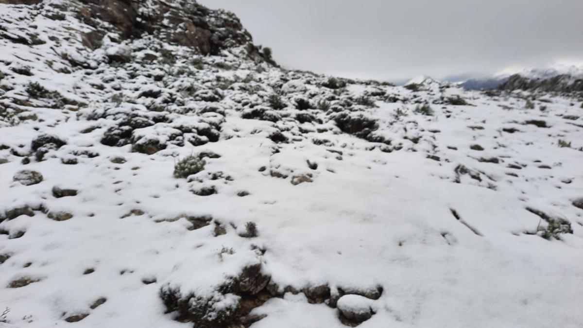 Las mejores imágenes de la nieve en la Serra de Tramuntana