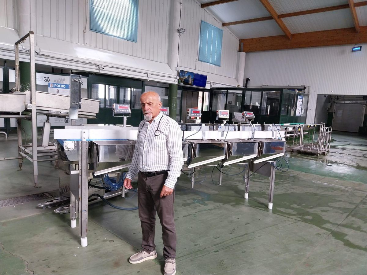 El patrón mayor de Bueu, José Manuel Rosas, ayer con la nueva máquina clasificadora del pulpo en la lonja.