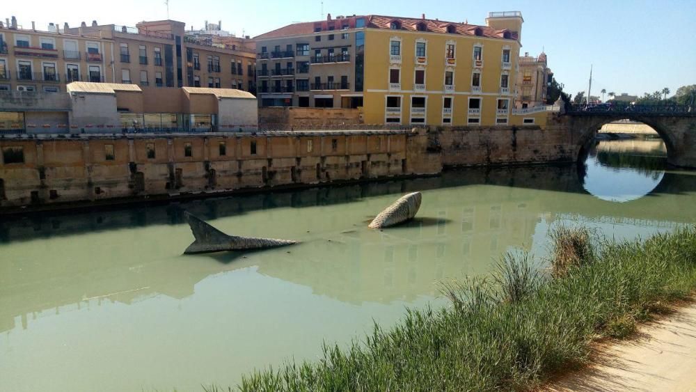 El río Segura a su paso por Murcia