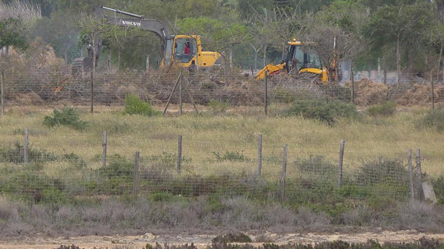 Trabajos de desbroce de vegetación junto a las salinas del Pinet