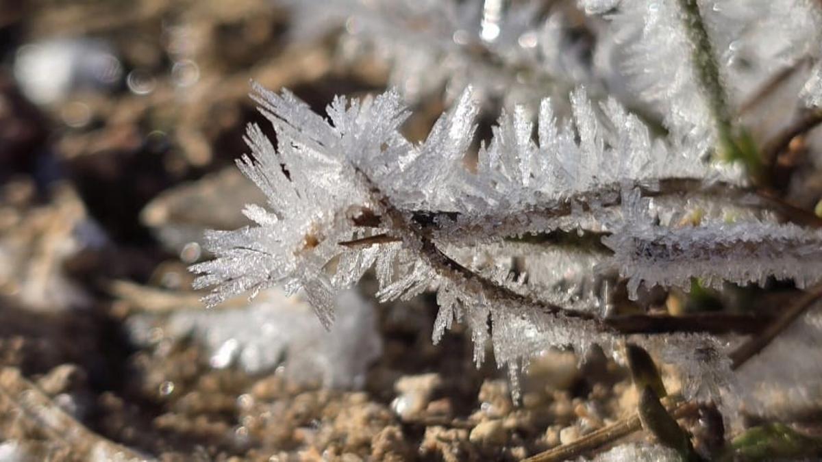 Heladas en Caravaca de la Cruz, esta madrugada