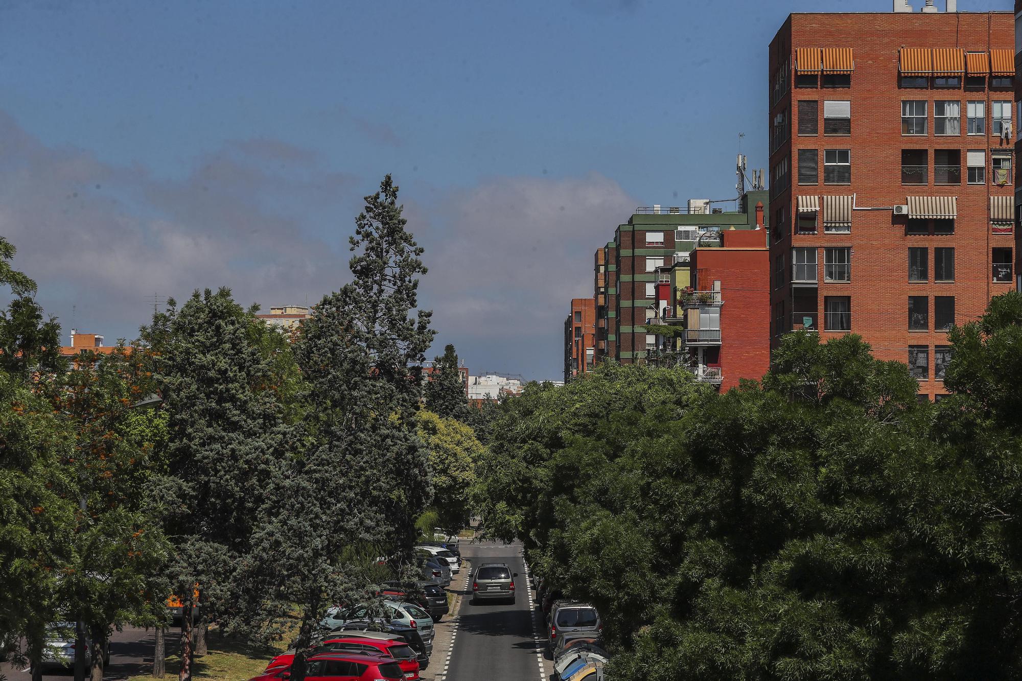 Entrada Oeste Avenida del Cid