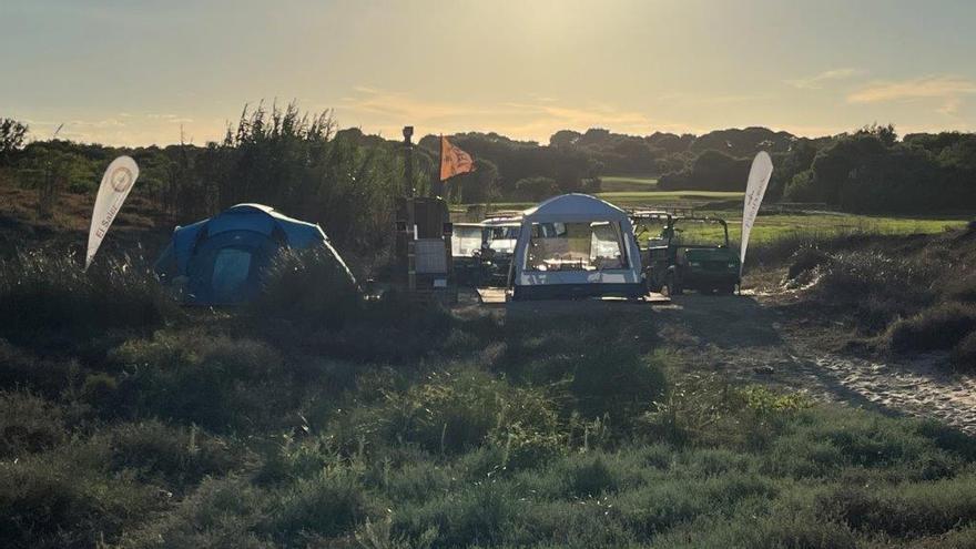 Ponen en marcha en El Saler el &quot;Campamento Tortuga&quot; para proteger el único nido de España