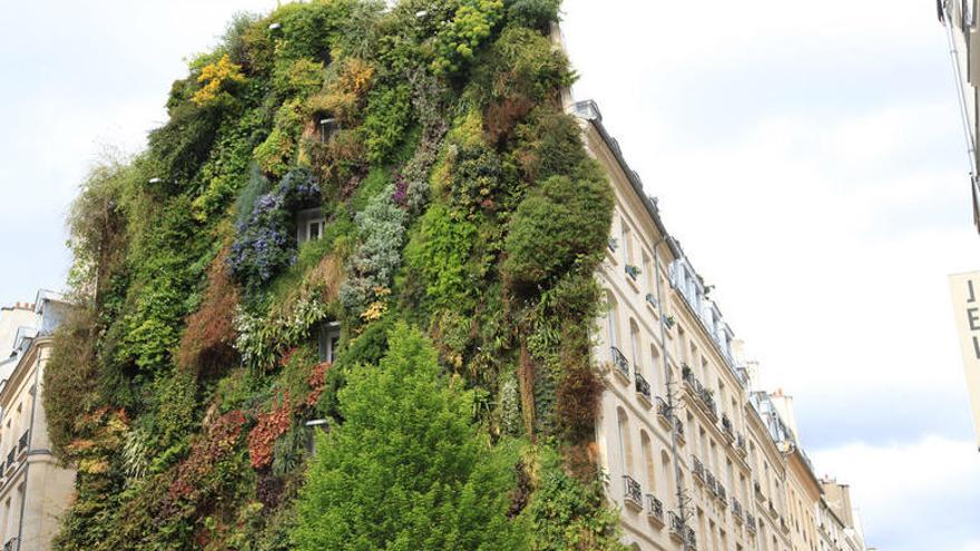 Los muros verdes han creado un nuevo concepto de jardinería.