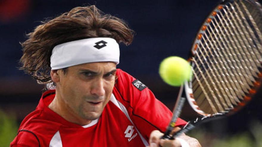 David Ferrer.