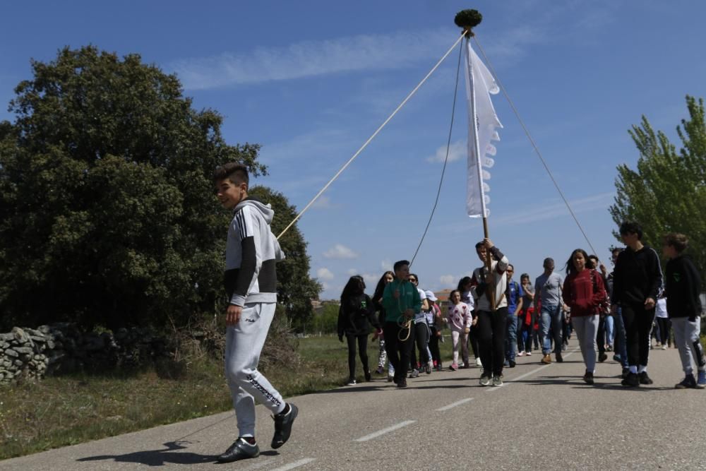 Muga marcha hasta Fernandiel