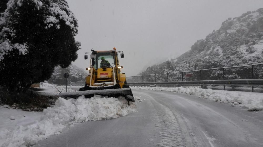 Nieve en la Serra de Tramuntana