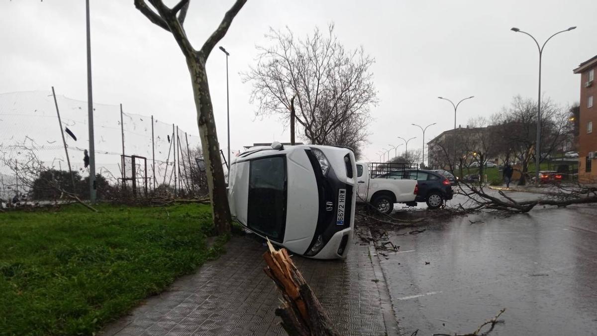 Fotogalería | Un tornado provoca numerosos destrozos en Plasencia