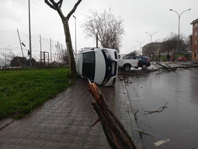 Fotogalería | Un tornado provoca numerosos destrozos en Plasencia