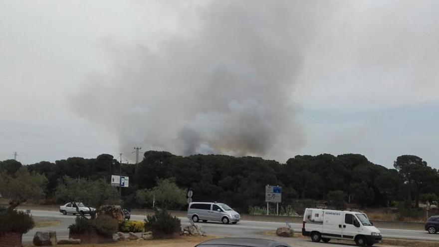 Un incendi afecta a una zona agrícola de Riudellots