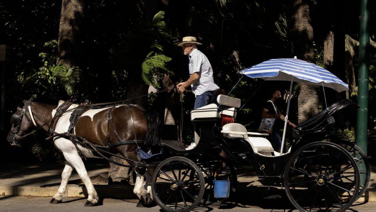 Un coche de caballos en la capital malagueña.