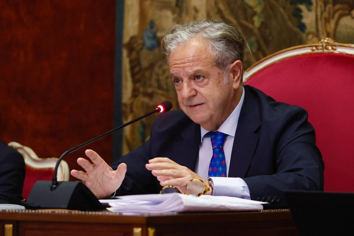Pleno Ordinario de la Diputación de Córdoba Salvador Fuentes