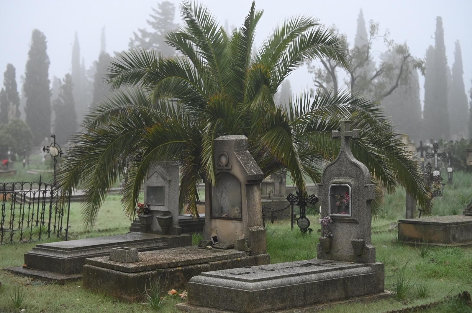 En imágenes | Así ha sido el Día de Todos los Santos en el cementerio de Torrero