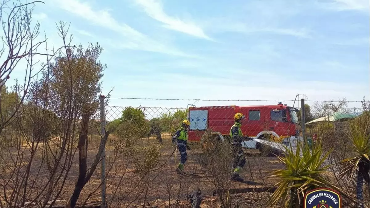 Un incendio arrasa unos 12.000 metros cuadrados en una finca en Binissalem