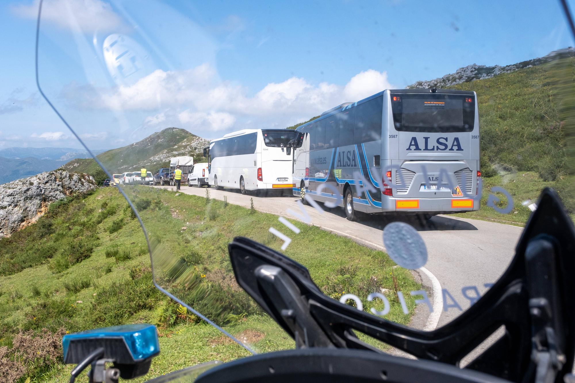 Grave accidente en Covadonga al despeñarse un autobús con niños que iba a los Lagos