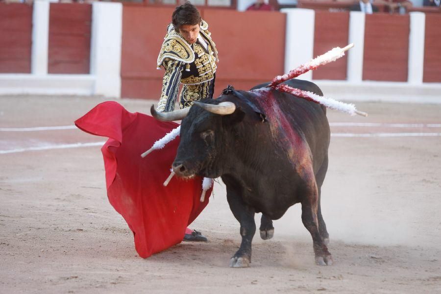 Toros en Zamora