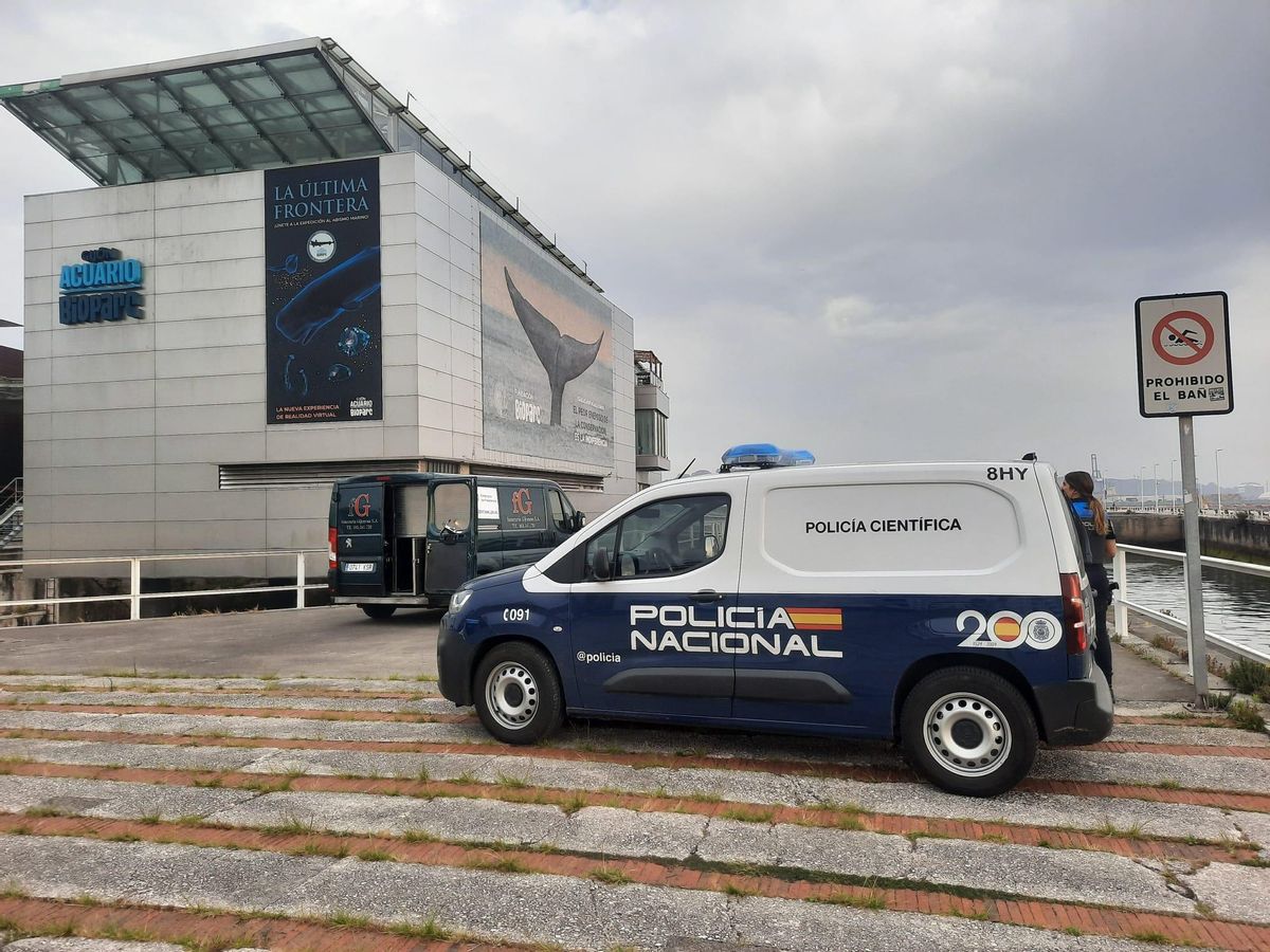 Servicios funerarios y policía junto al Acuario, esta mañana.