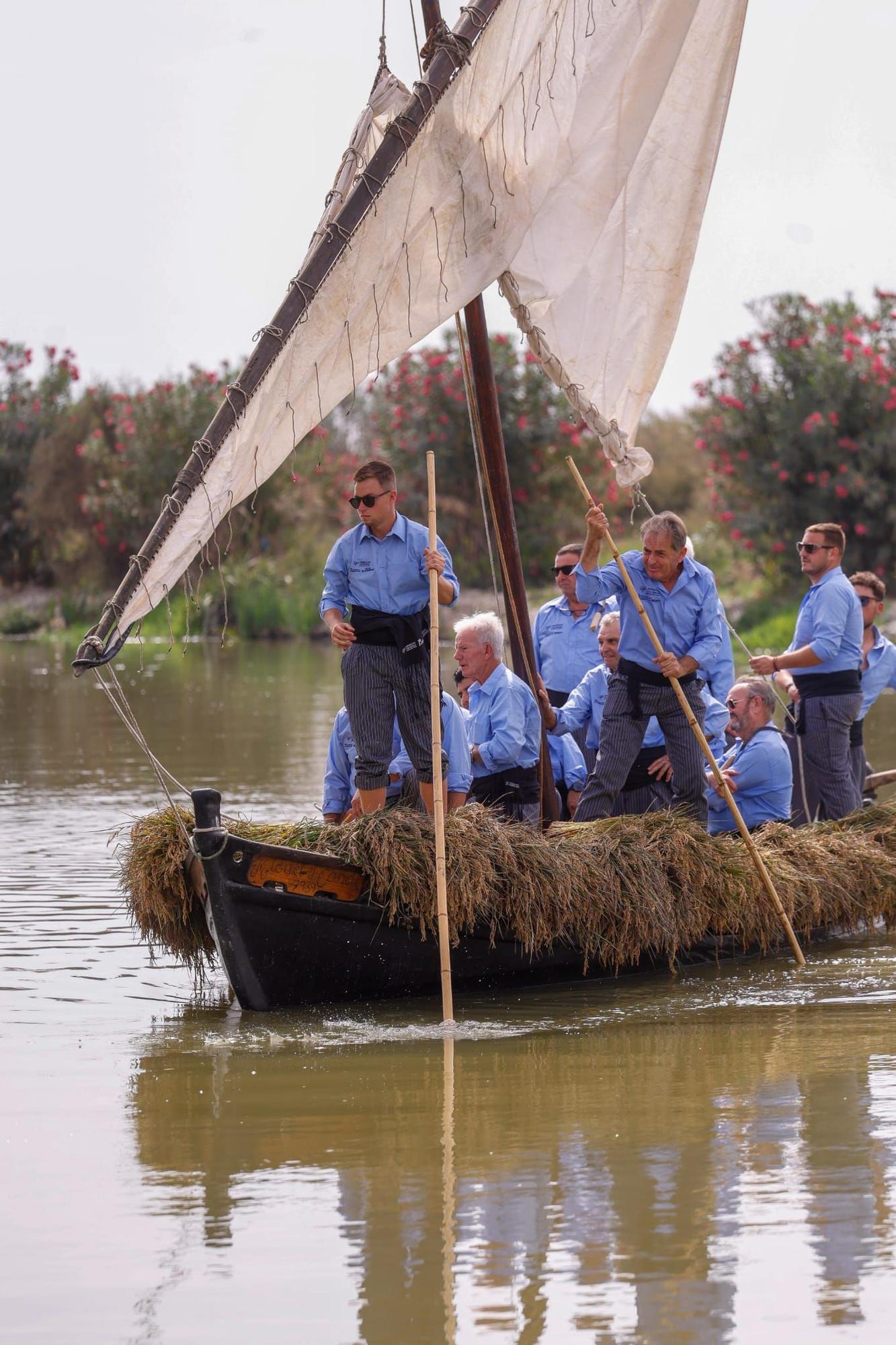 El puerto de Catarroja reúne a 5.000 personas en la Fiesta de la siega del arroz