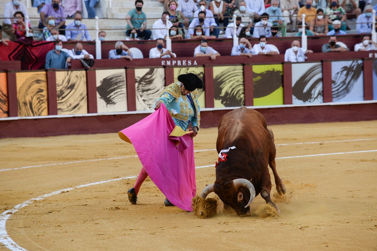 Los toros vuelven a La Malagueta